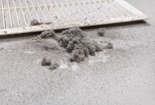 Best Air Vent Cleaning Services  in Clarksdale, MS