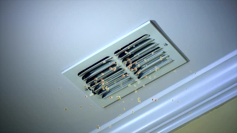 Best Best Air Duct Cleaning Company  in Clarksdale, MS