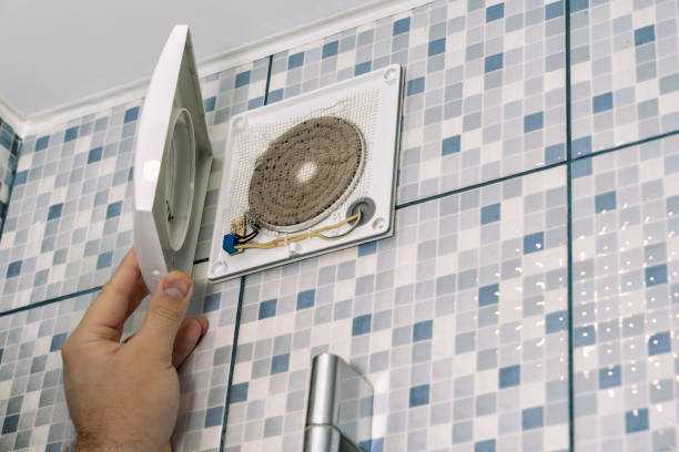 Best Air Duct Mold Removal  in Clarksdale, MS