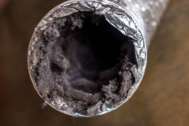 Best HVAC Duct Inspection Services  in Clarksdale, MS